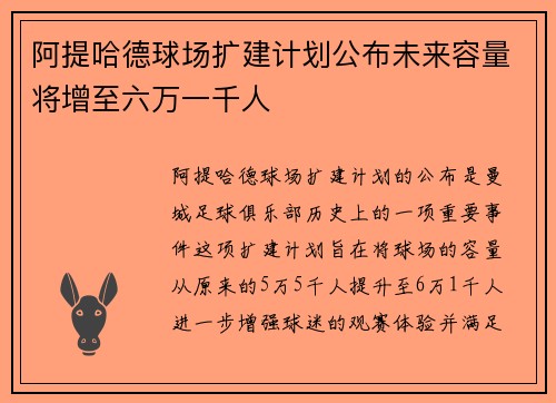 阿提哈德球场扩建计划公布未来容量将增至六万一千人