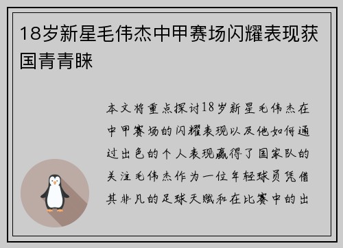 18岁新星毛伟杰中甲赛场闪耀表现获国青青睐